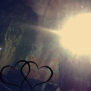 Meet your Posher, Cheyenne